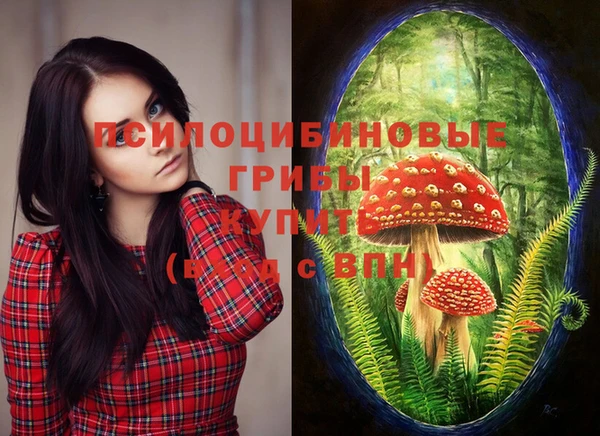 винт Алексин