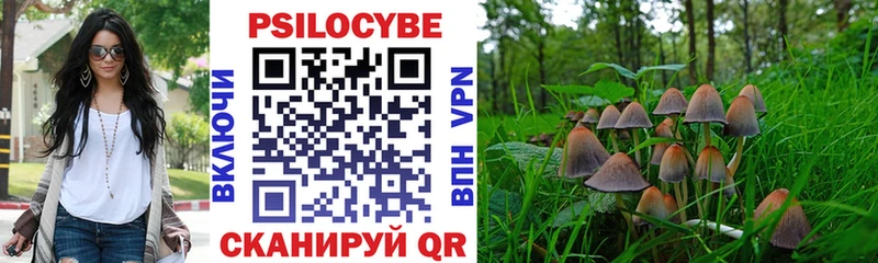 наркотики  ОМГ ОМГ ссылка  Галлюциногенные грибы Psilocybine cubensis  Гвардейск 