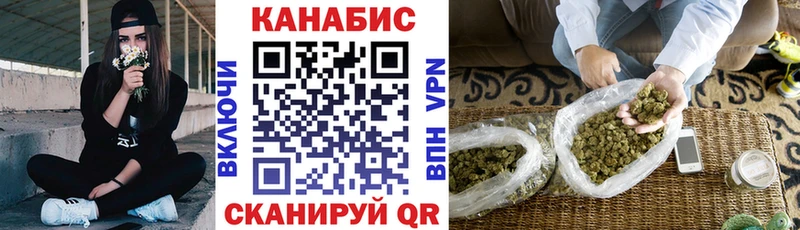 Каннабис сатива  как найти наркотики  гидра вход  Гвардейск 